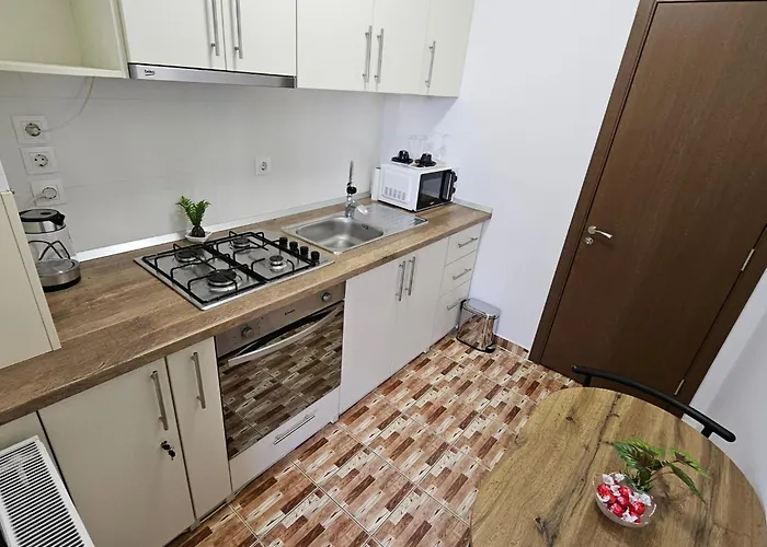 Lovely Apartment Craiova